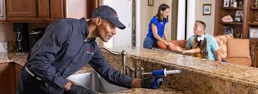 Best Pest Exclusion Services  in Pinetop Country Clu, AZ